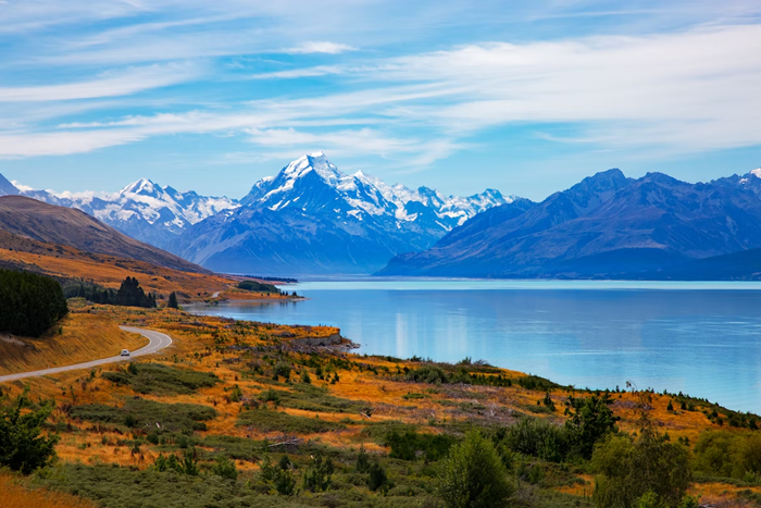 online therapy new zealand