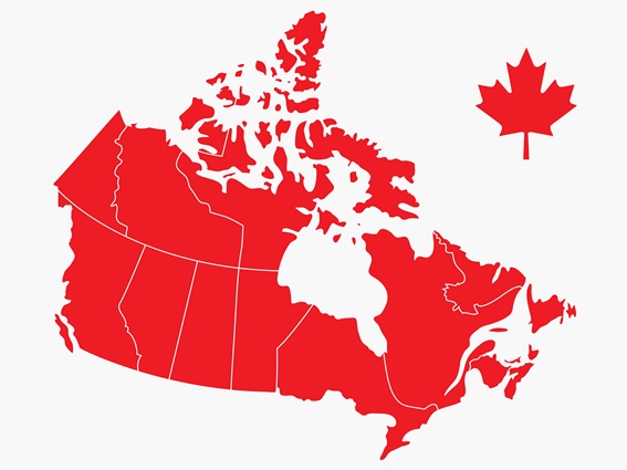 Canadian Online Coaching and Therapy